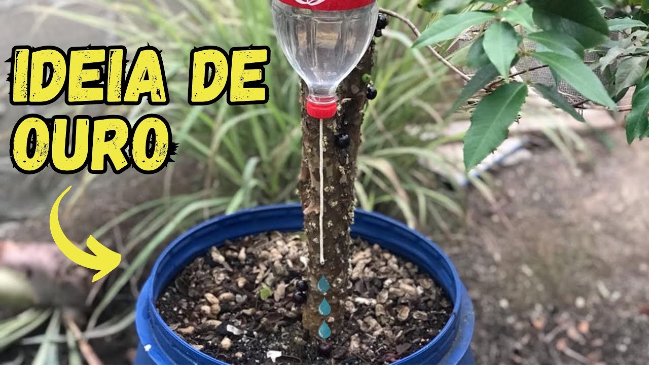 COMO FAZER GOTEJAMENTO COM GARRAFA PET-GOTEJADOR CASEIRO-ID&Eacute;IAS INCR&Iacute;VEIS 😃😃😃😃