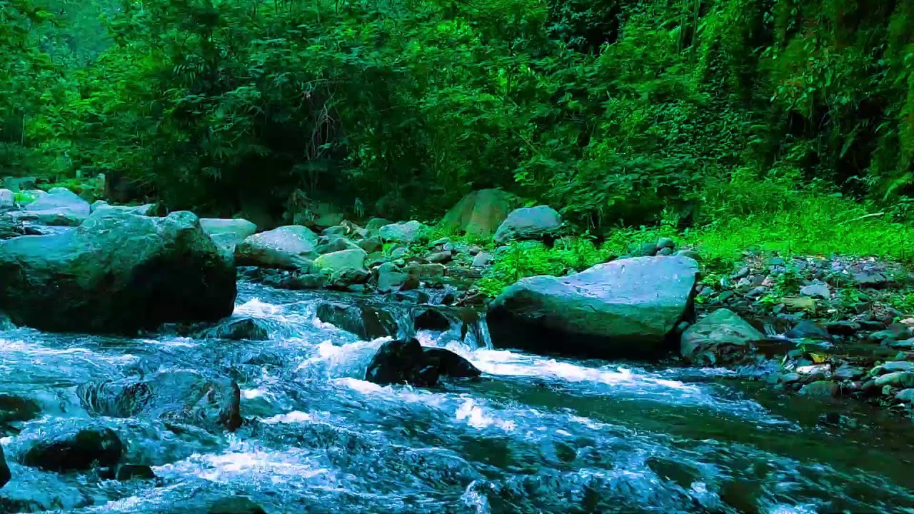 Soothing River Flow  White Noise for Insomnia  Anxiety