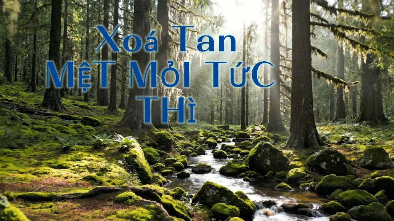 Nhạc chữa lành nội tâm / Loại bỏ căng thẳng, lo âu và trầm cảm.
