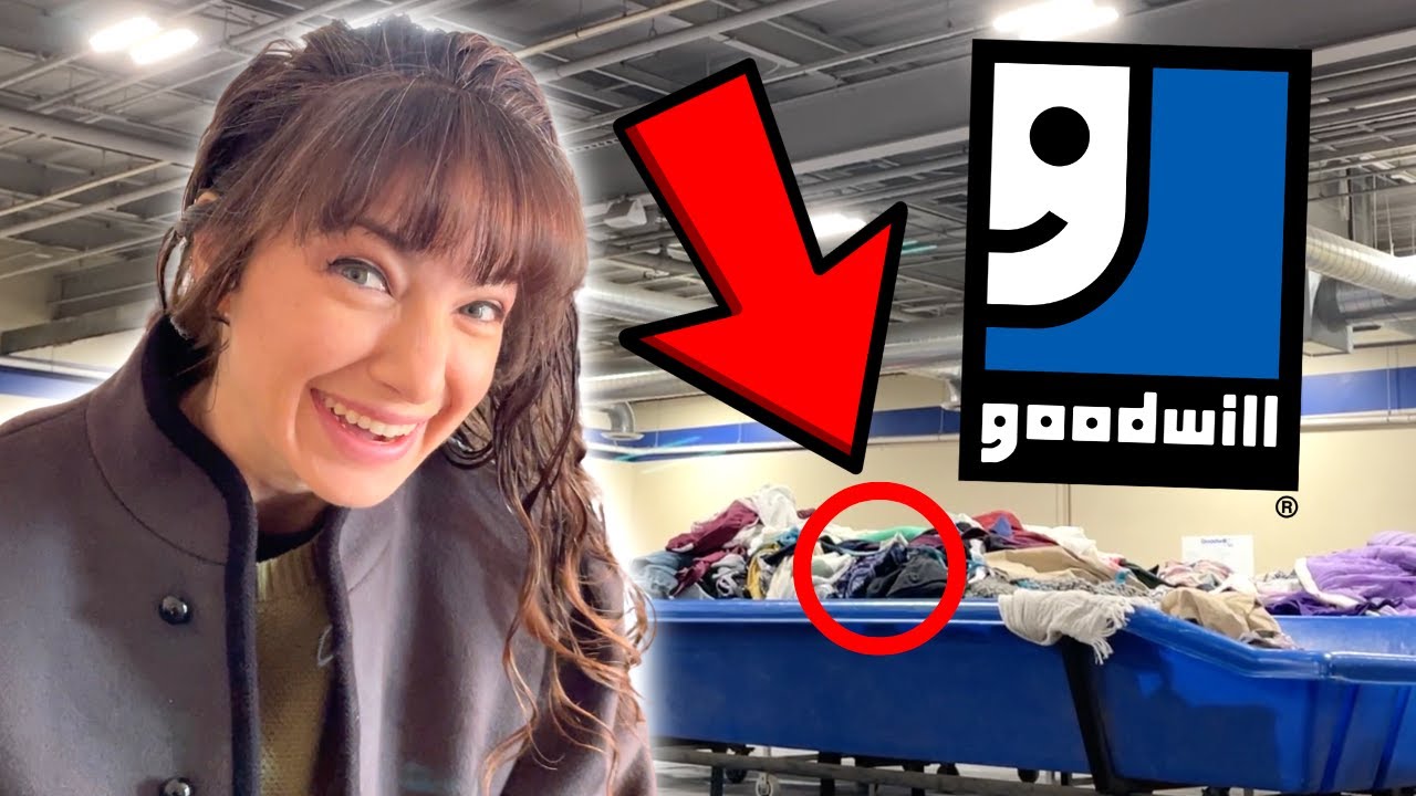 You Won’t Believe What Was Hidden At The Bottom of The Goodwill Bins in New York!