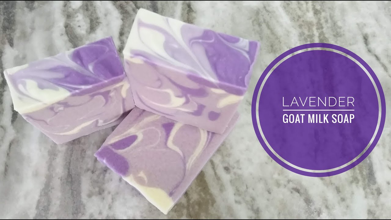 Making Lavender Goat Milk Cold Process Soap with fresh goat's milk