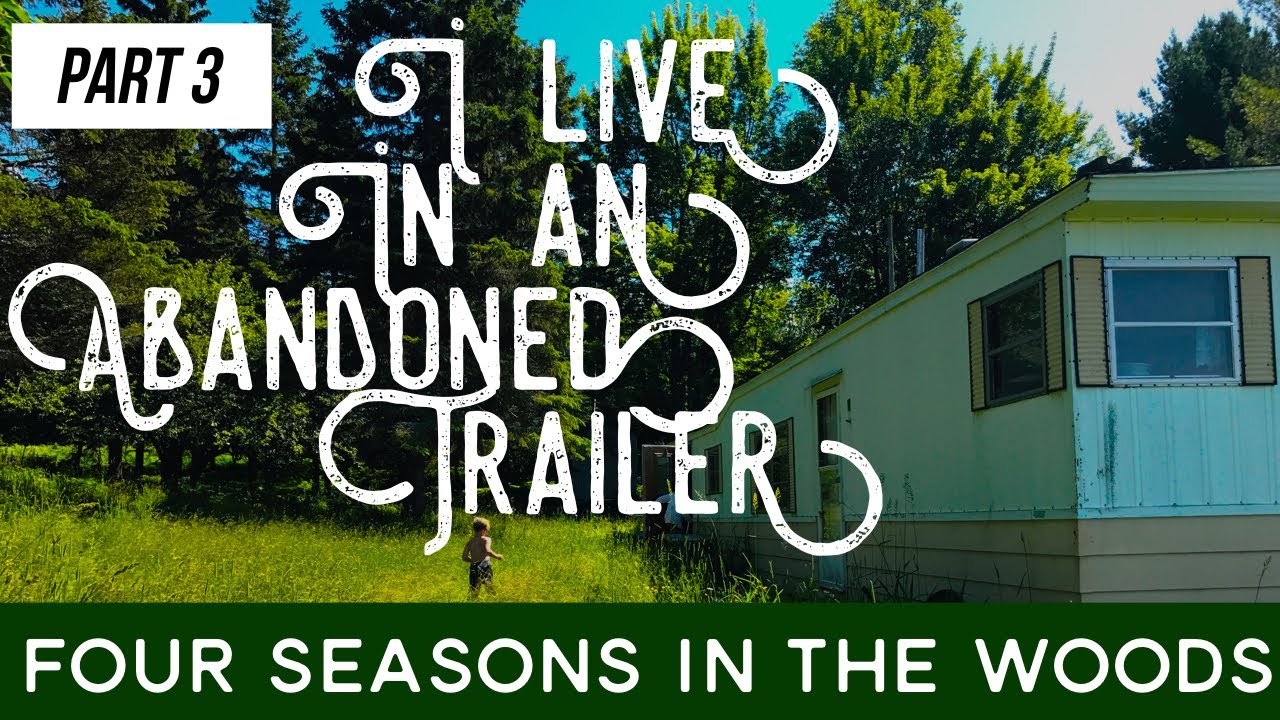 I am Afraid of Winter: Four Seasons in the Woods