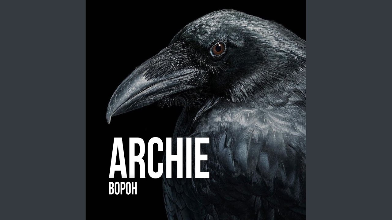 Ворон
