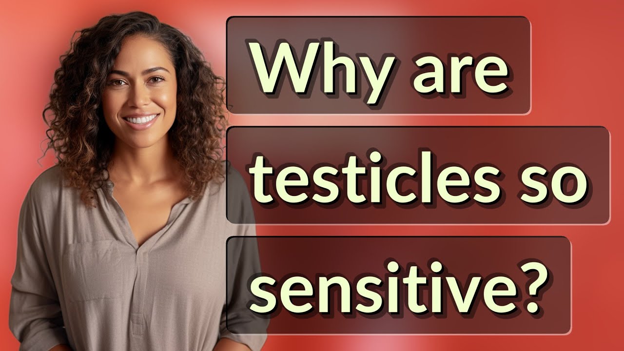Why are testicles so sensitive?