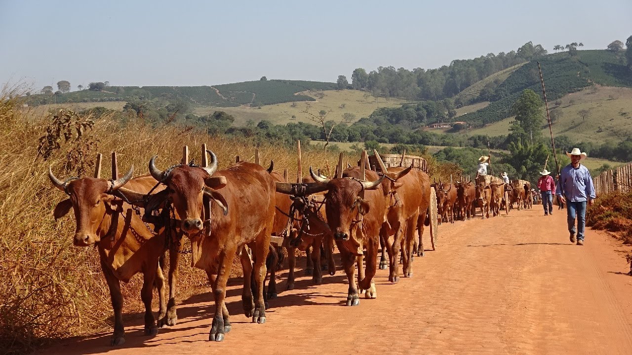CAMINHADA DOS CARREIROS PELAS SERRAS DE MINAS