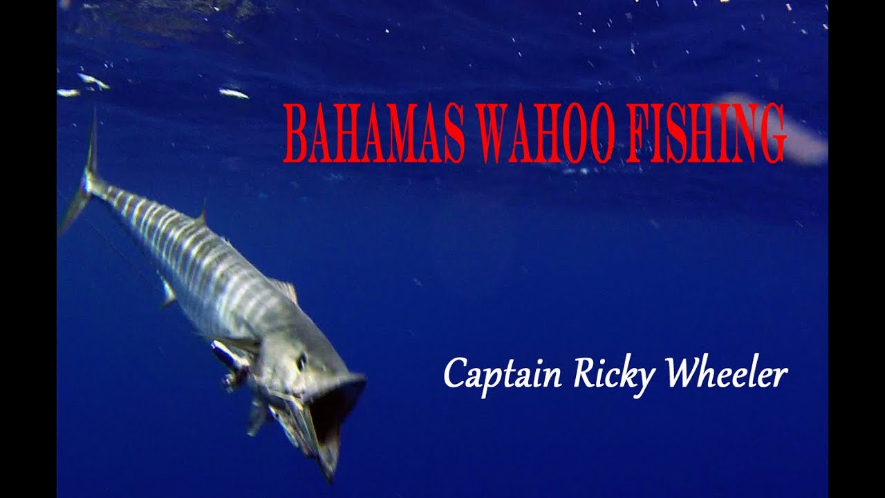 Bahamas Wahoo Fishing / San Salvador (Captain Ricky Wheeler - Ep1 2014)