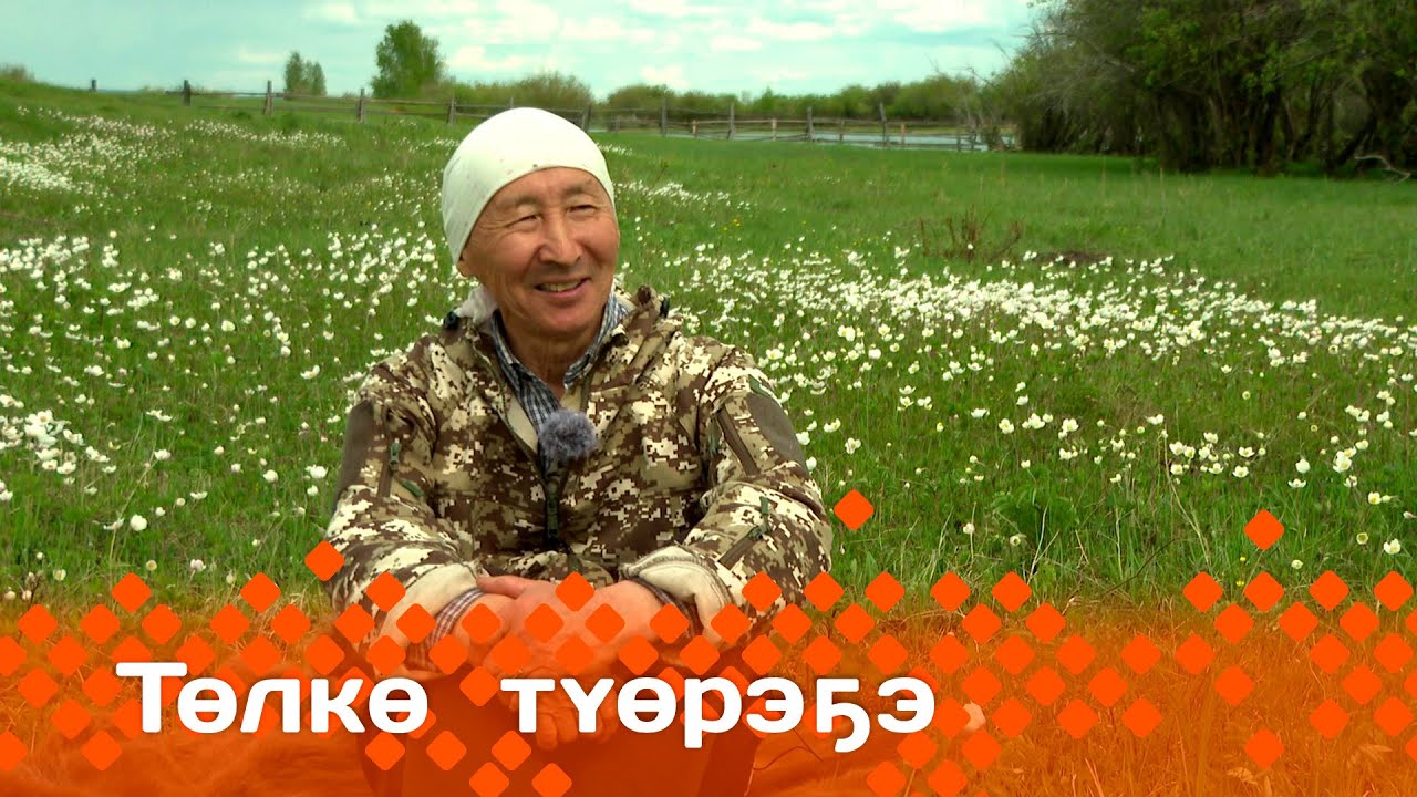 «Төлкө түөрэҕэ»  (15.06.25)