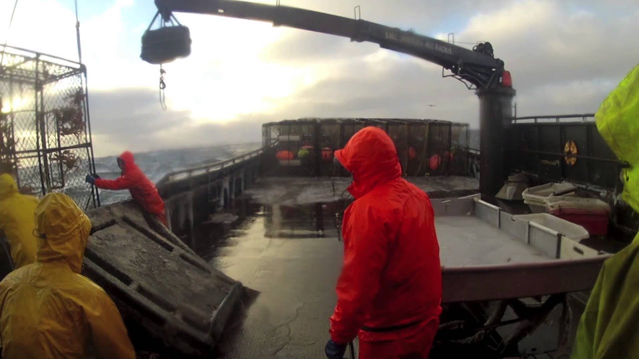 Bering Sea Opilio Crab Fishing