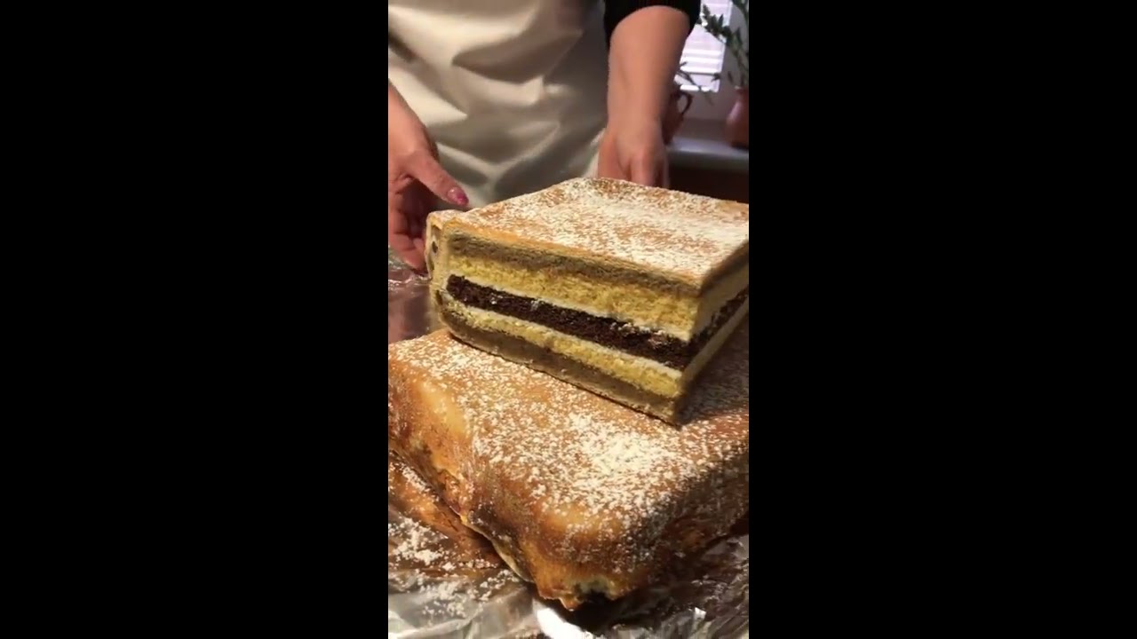 POTRATNA POTICA - Video recept