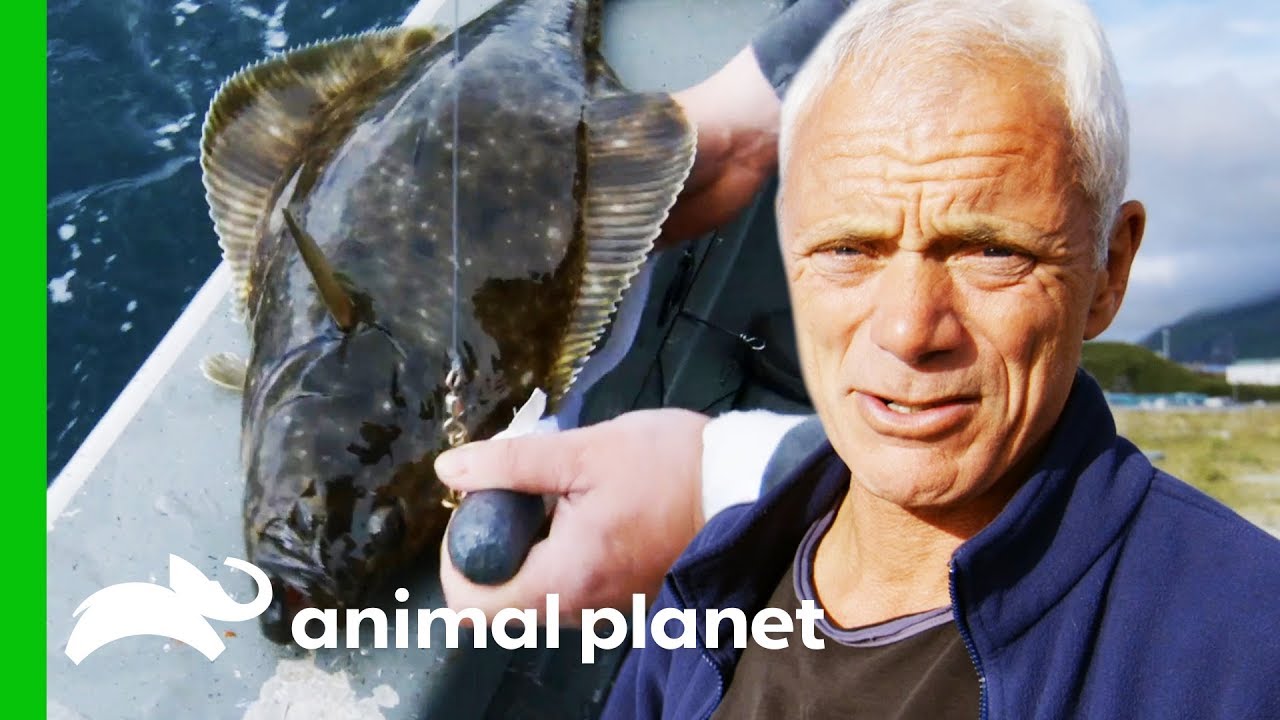 Have The Giant Halibut Disappeared From Alaskan Waters? | Jeremy Wade's Dark Waters