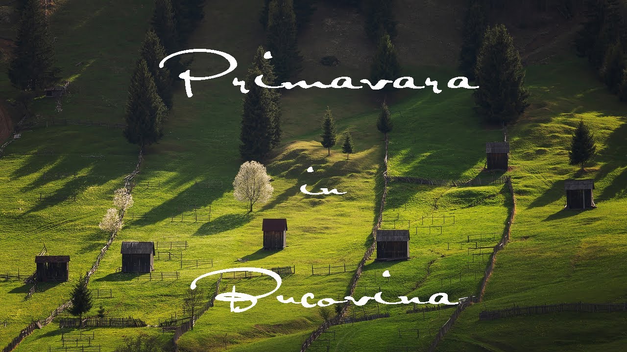 Spectacolul primaverii in Bucovina | Cinematic 4K