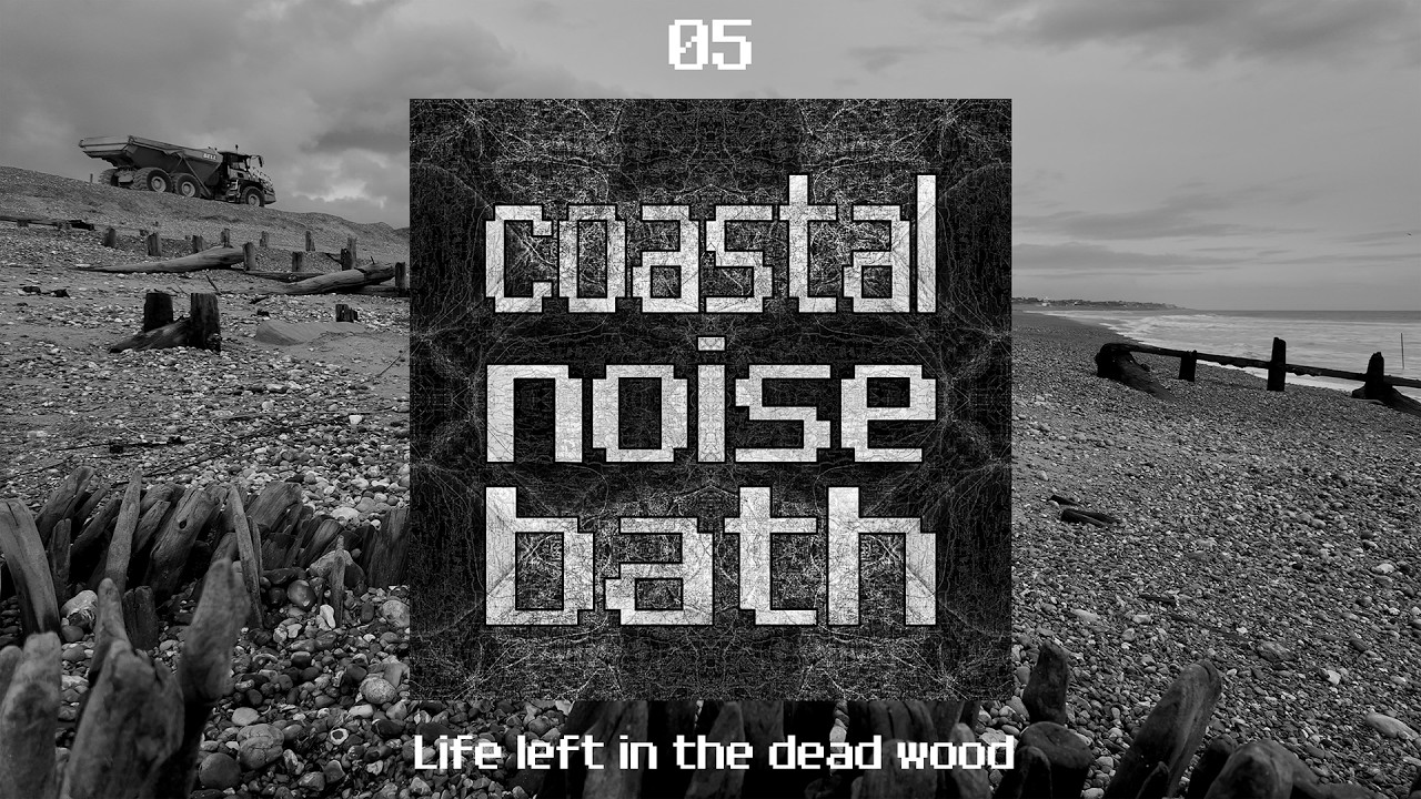 CoastalNoiseBath Episode 05 - Life left in the dead wood
