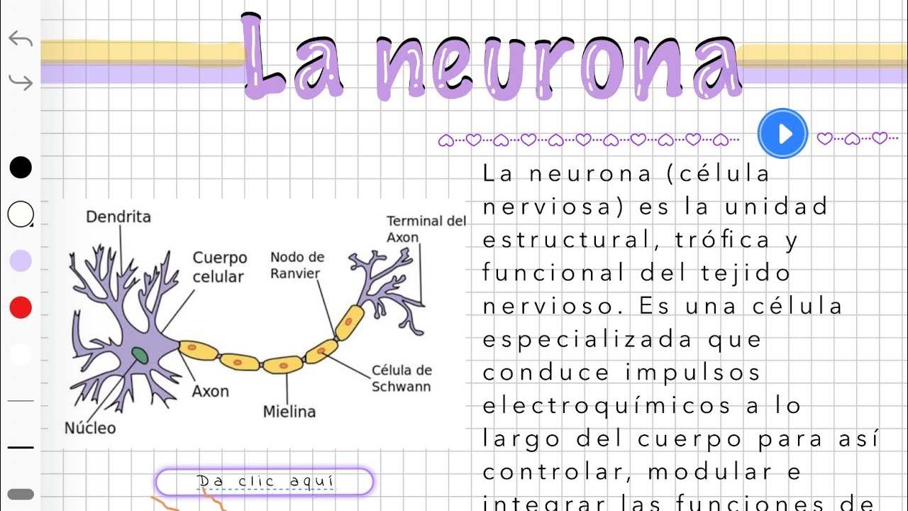 Kilonotes | PREGUNTAS FRECUENTES | CURSO COMPLETO