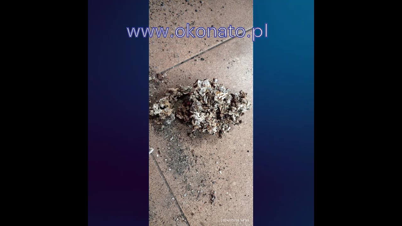 Dlaczego piec na ekogroszek się wygasza DEFRO, SAS