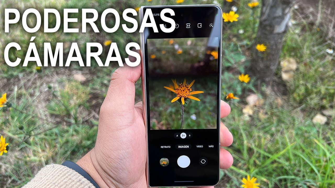 Samsung Galaxy Z Fold 4  Test de camara | Tecnocat