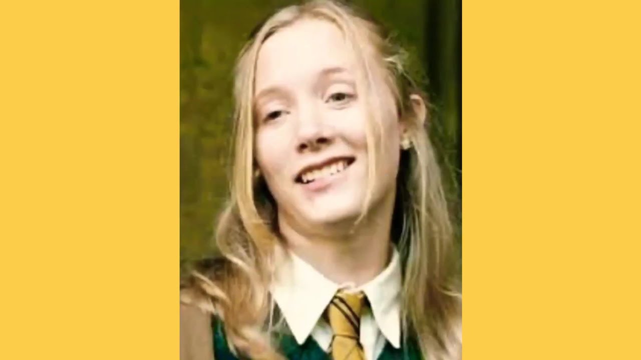 Hufflepuff characters- Harry Potter