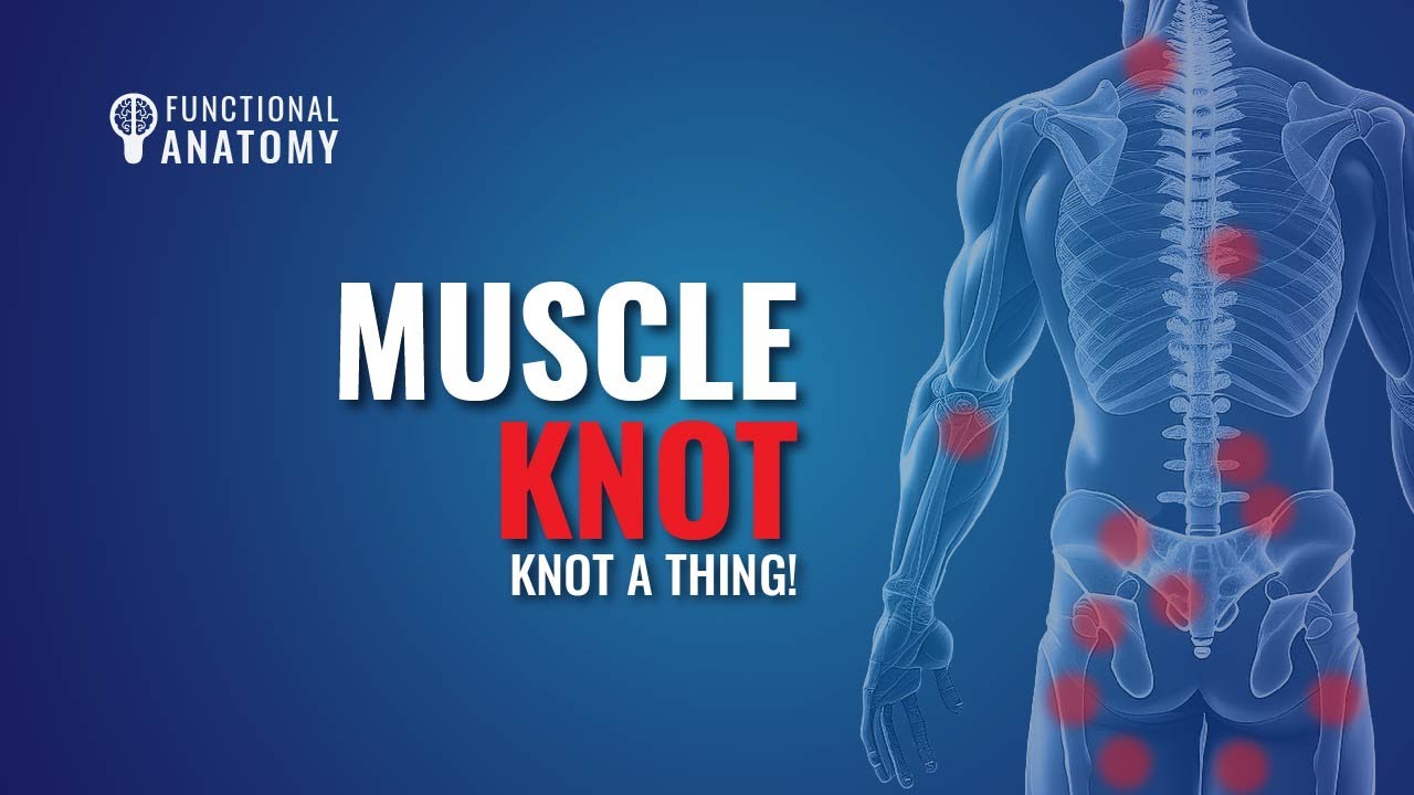 Breaking Down Muscle Knots