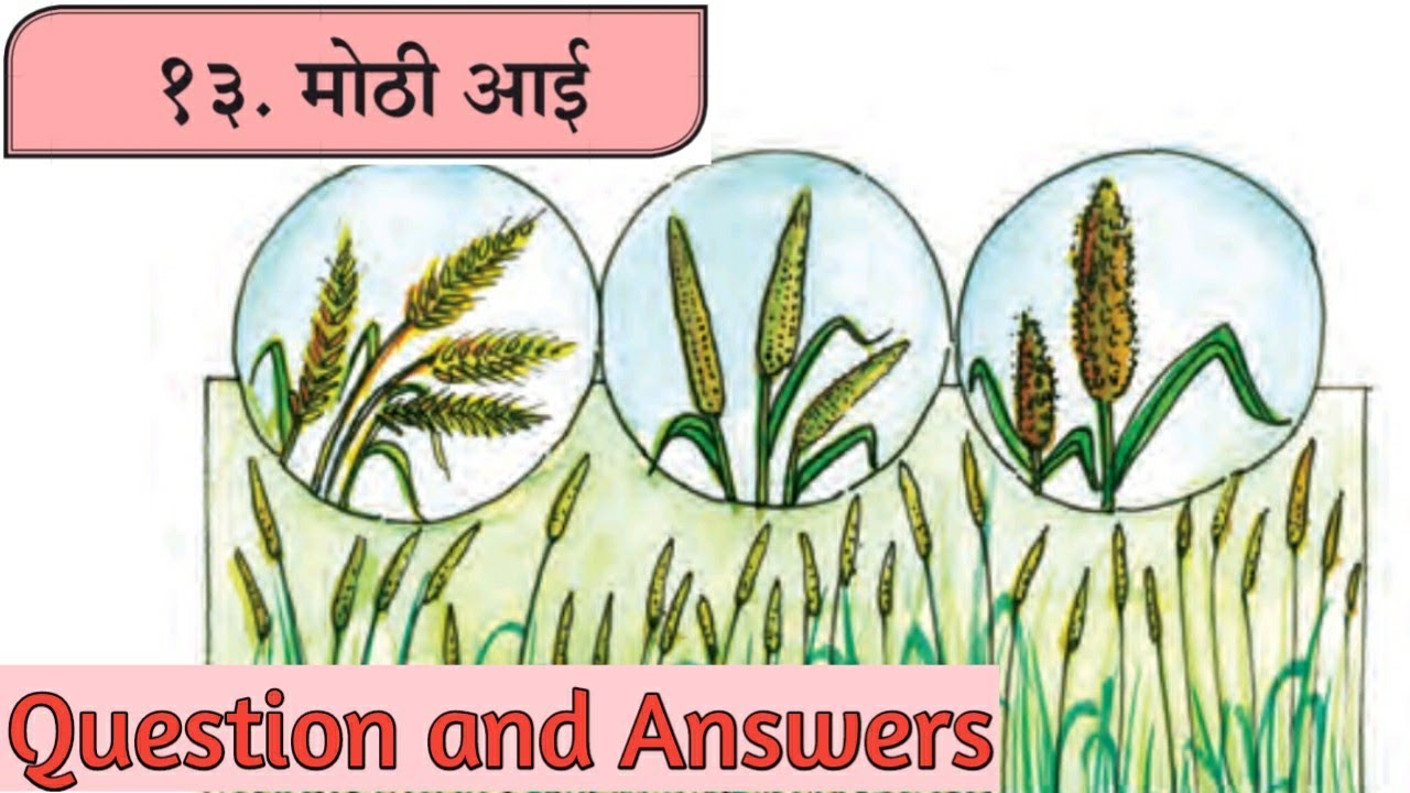 6th std marathi lesson 13. Mothi Aai. Question and Answers. मोठी आई. स्वाध्याय.