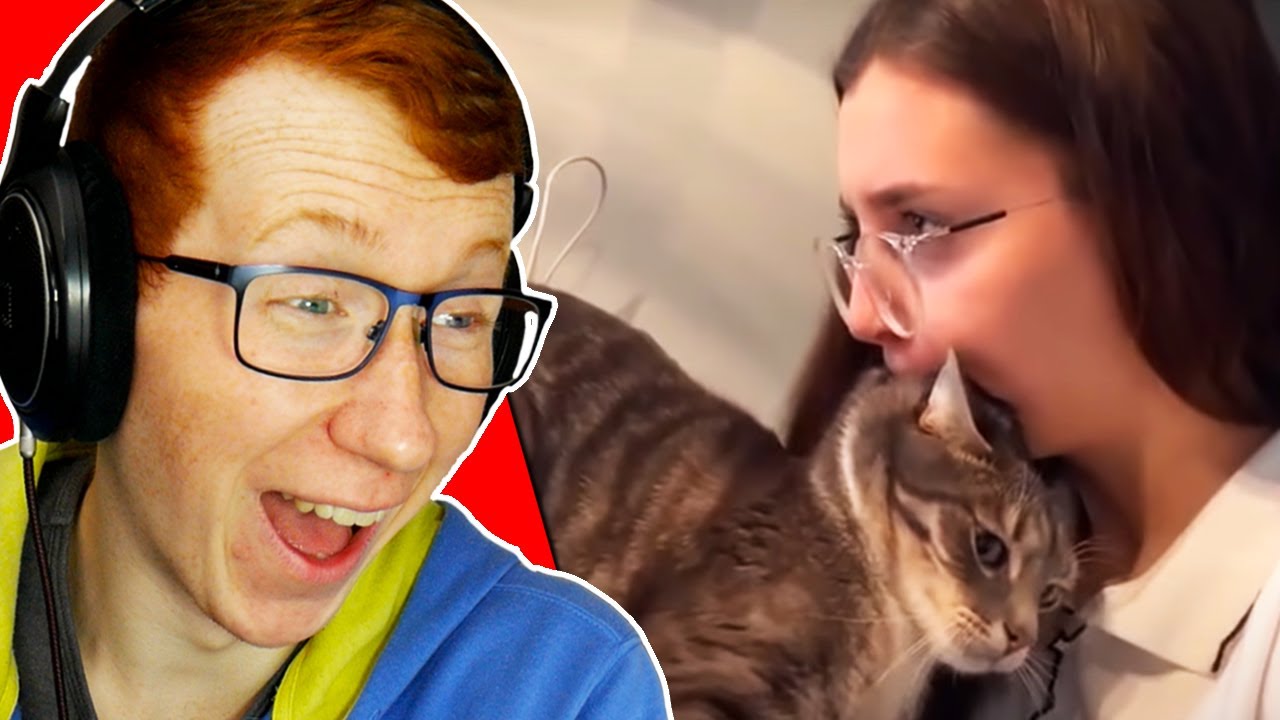 Patterrz Reacts to Daily Dose of Internet 6