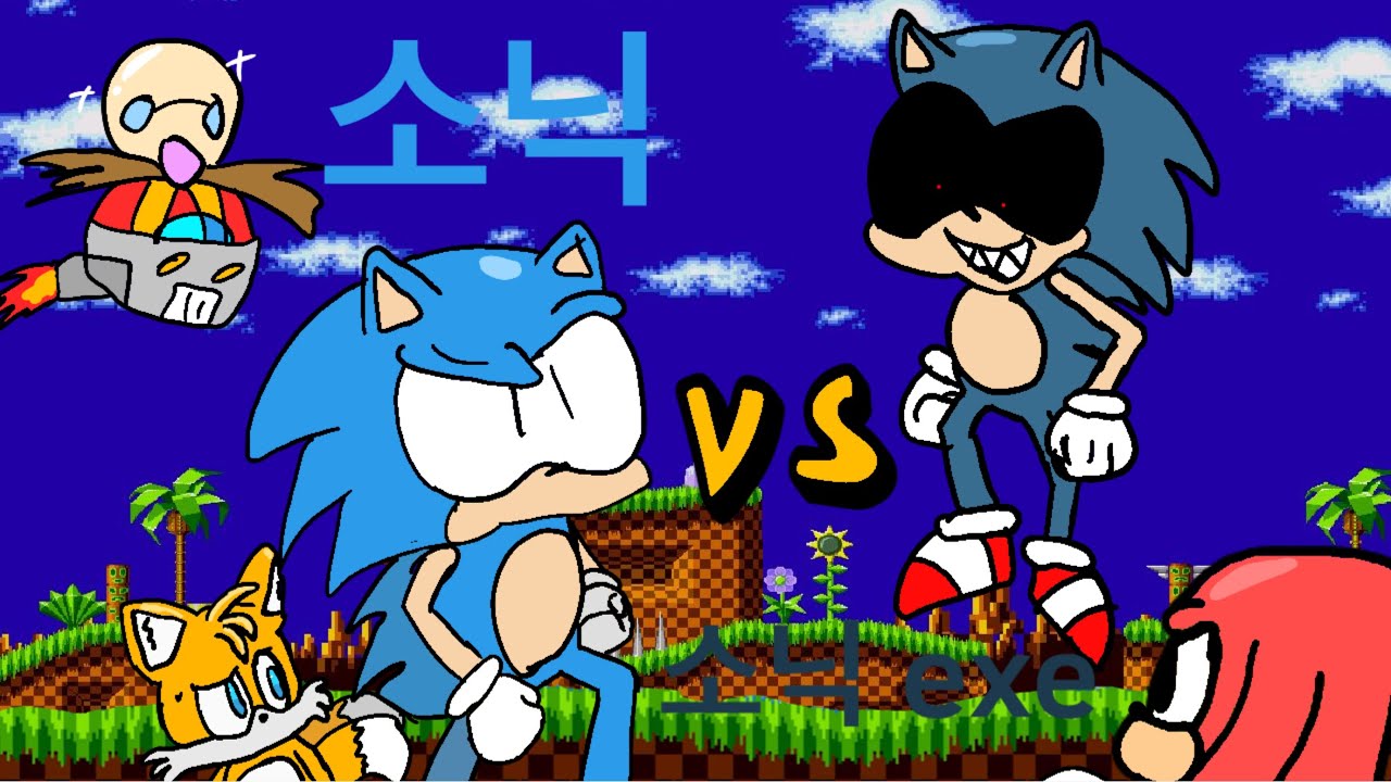 뒤죽박죽 소닉 exe 요약