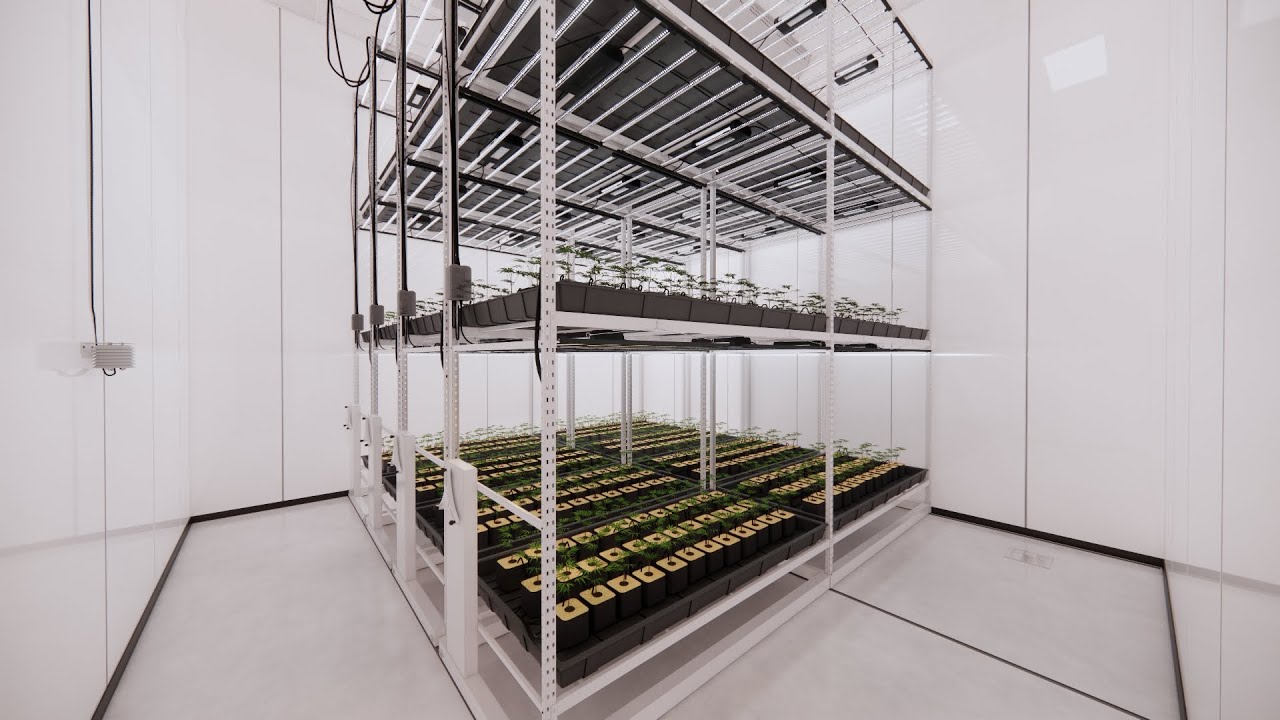 Cannabis Cultivation Facility Design Walk Through. Dialed Supply