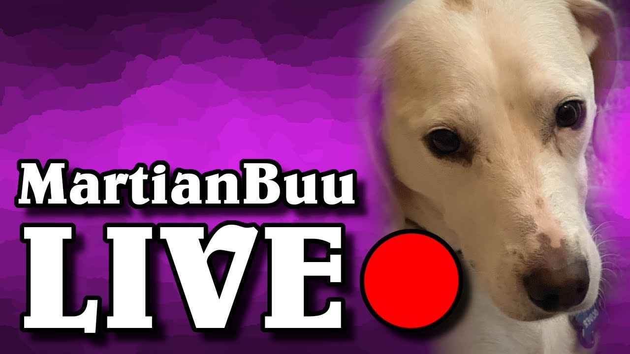 Chicken Stream