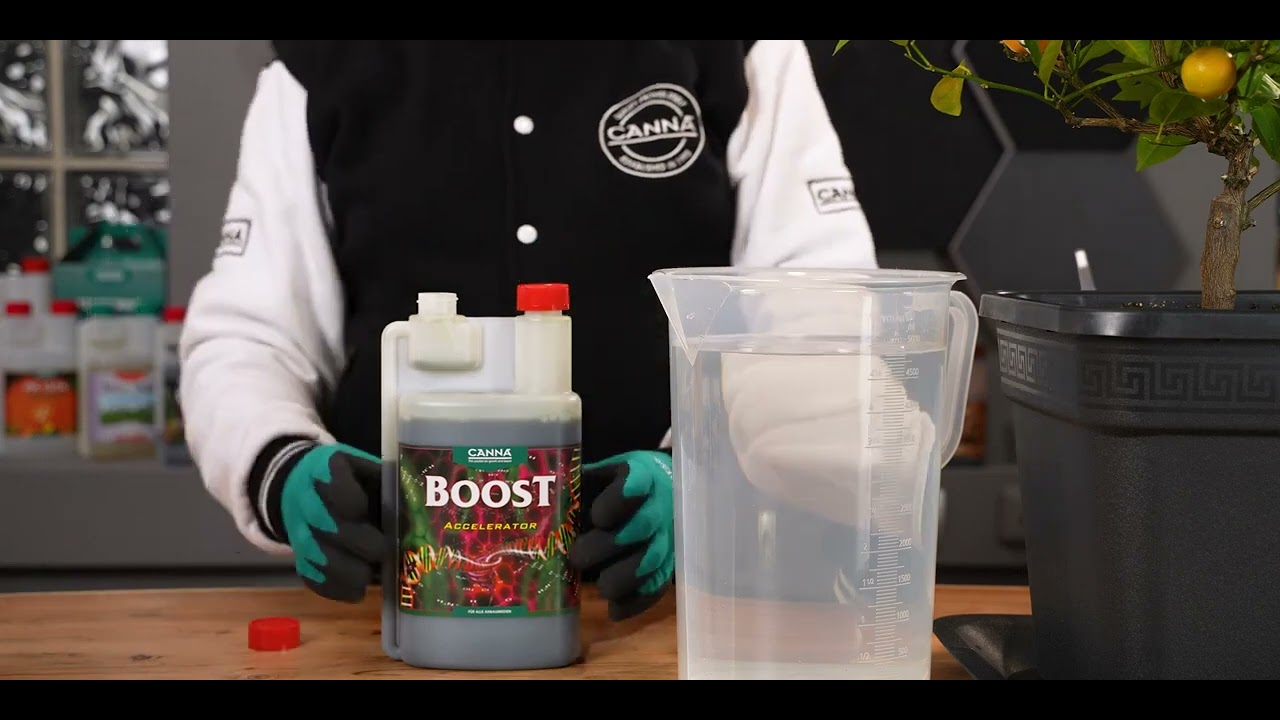 How to use CANNA BOOST