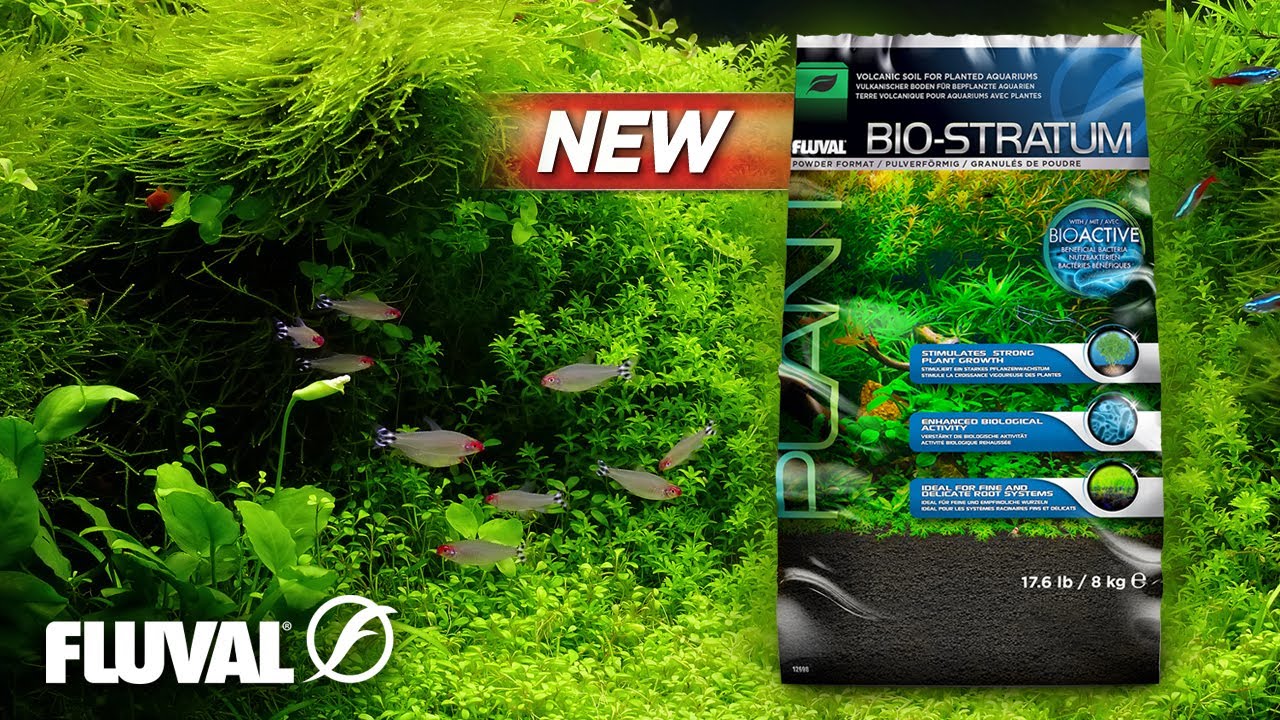 Fluval Bio-Stratum | Volcanic Soil for Planted Aquariums