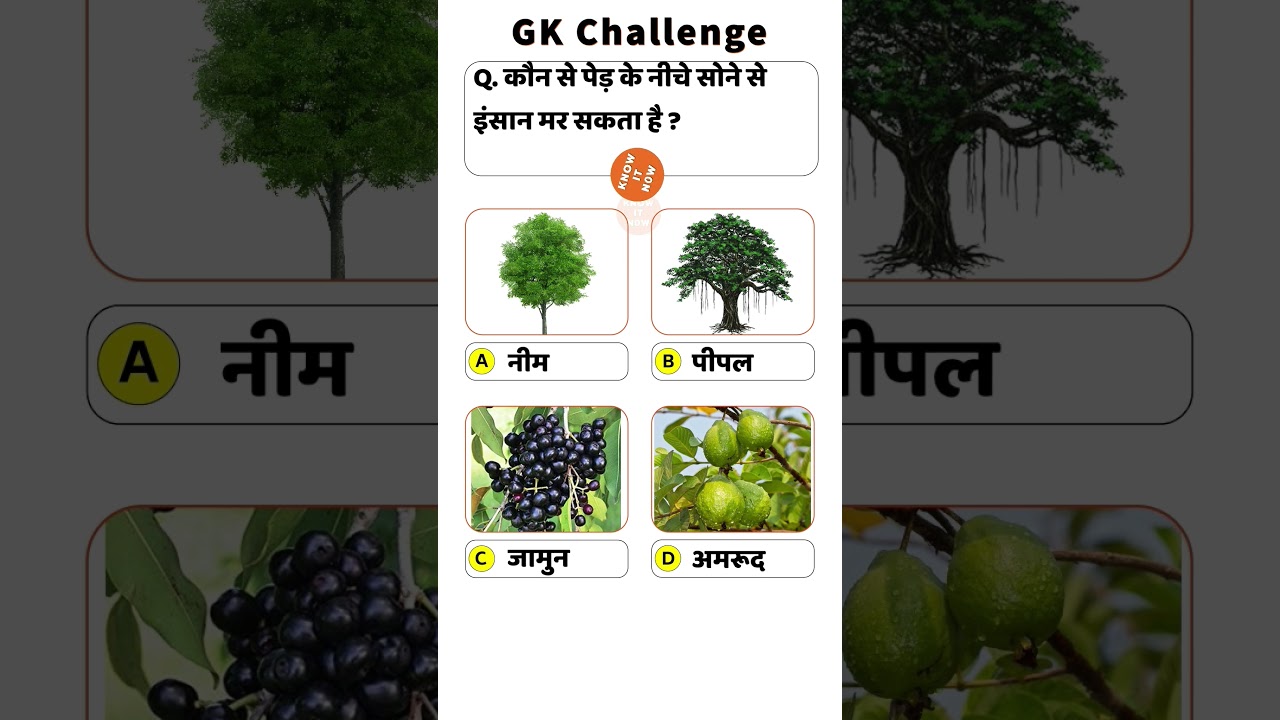 GK MCQ in Hindi | Govt Job तैयारी | 