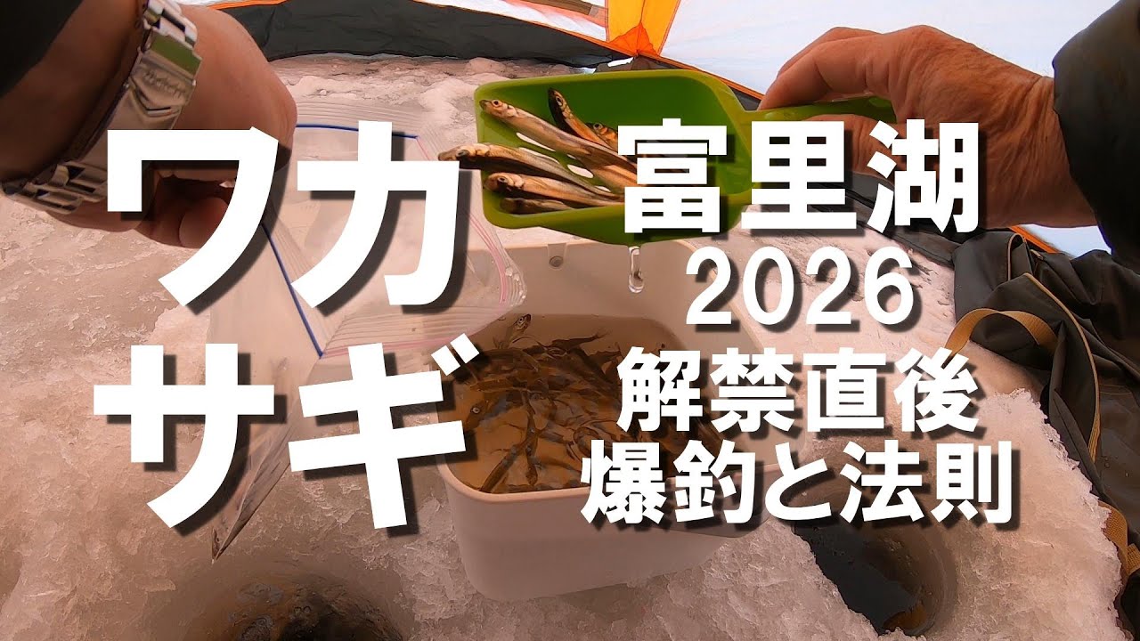 【ワカサギ】北見市富里湖解禁2026 爆釣そして魔の法則がせまる 2026/1/8