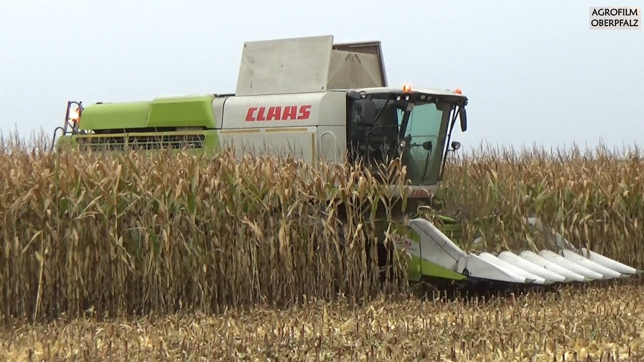 Mais dreschen im Regen - Claas Lexion 740 nonstop im Einsatz - Landw. Lohnbetrieb Zollner