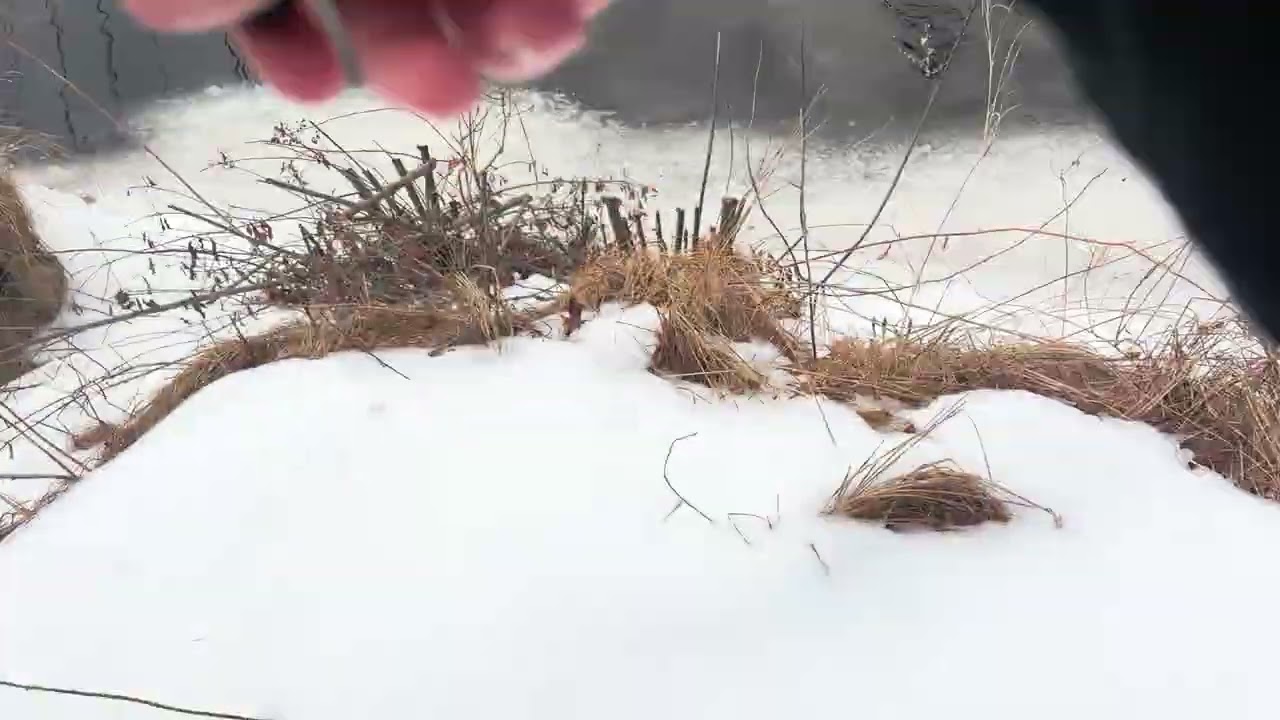uncut fishing video mines falls January 
