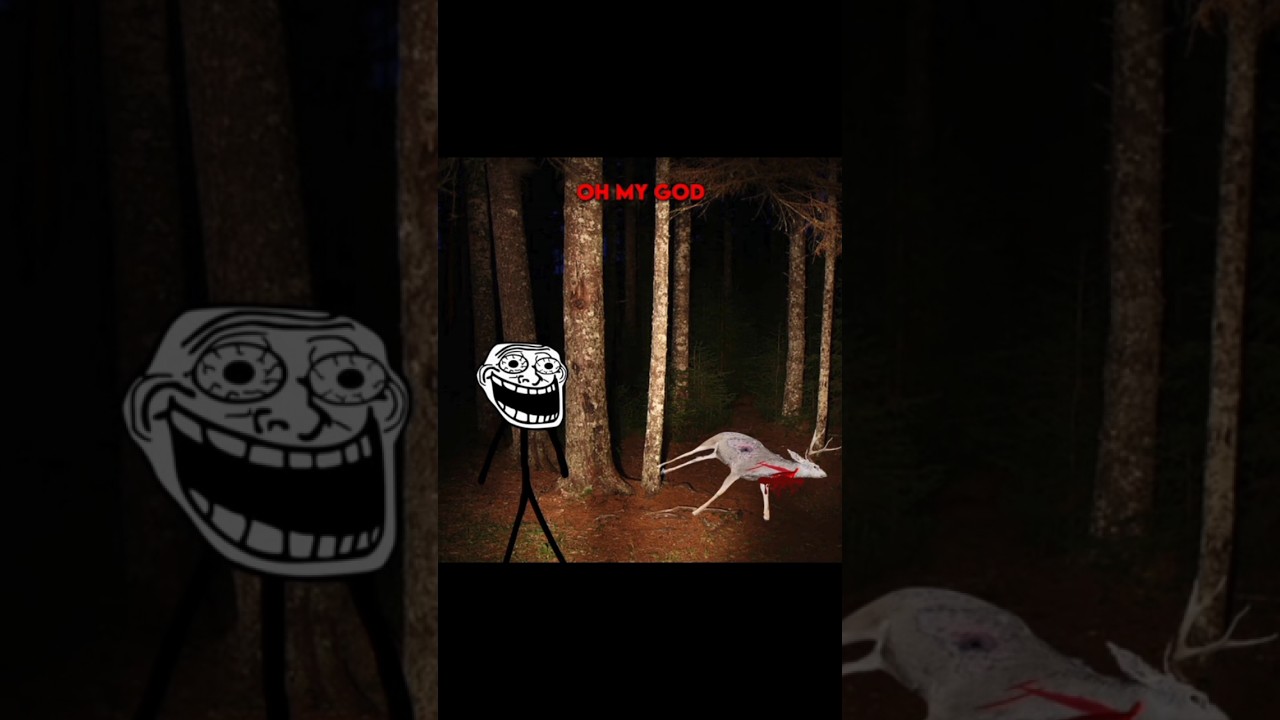 The grandma transformation incident 💀⚰️🥀🖤😱//#subscribe #scary #trollgescary #memes #trollface #funny