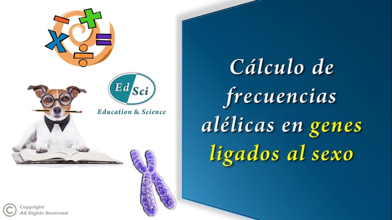 Frecuencias génicas en genes ligados al sexo 👩🏻🧑🏻📊
