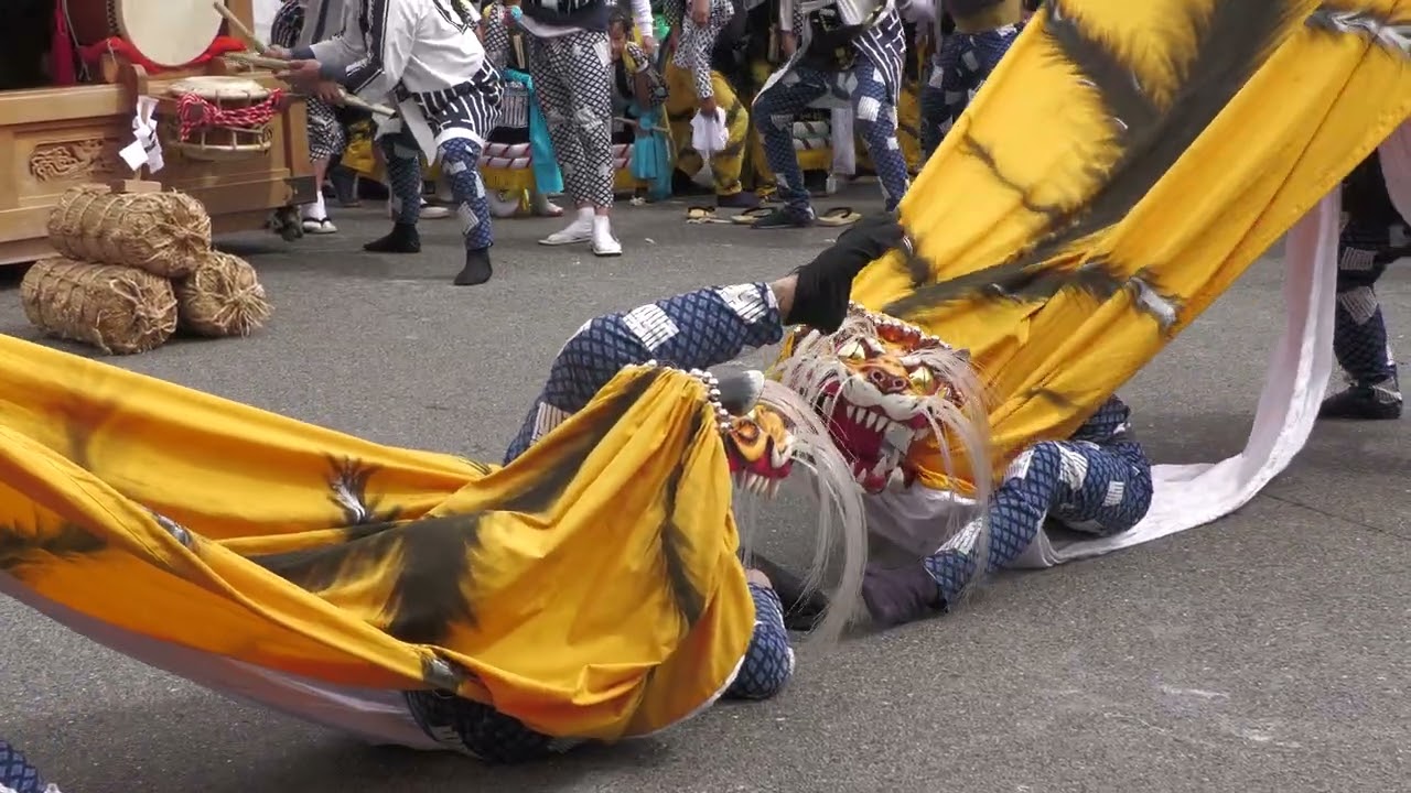 ２０２５大槌まつり「城山虎舞」町役場（21日小鎚神社例大祭）
