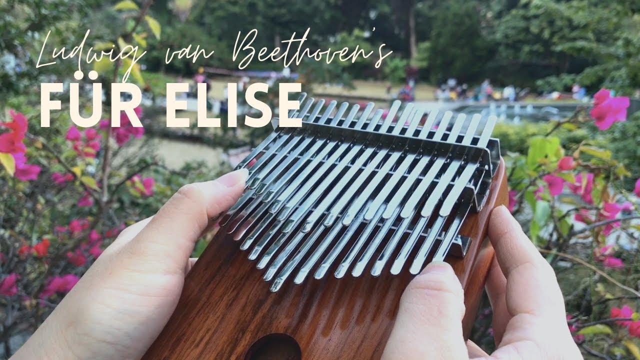 Für Elise by Ludwig van Beethoven (Kalimba Cover)