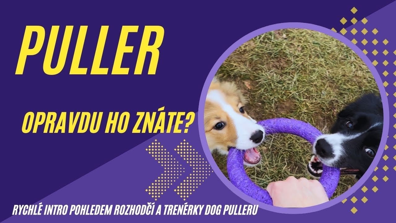 DOG PULLER - Stručně a jasně o fialovém kroužku PULLER