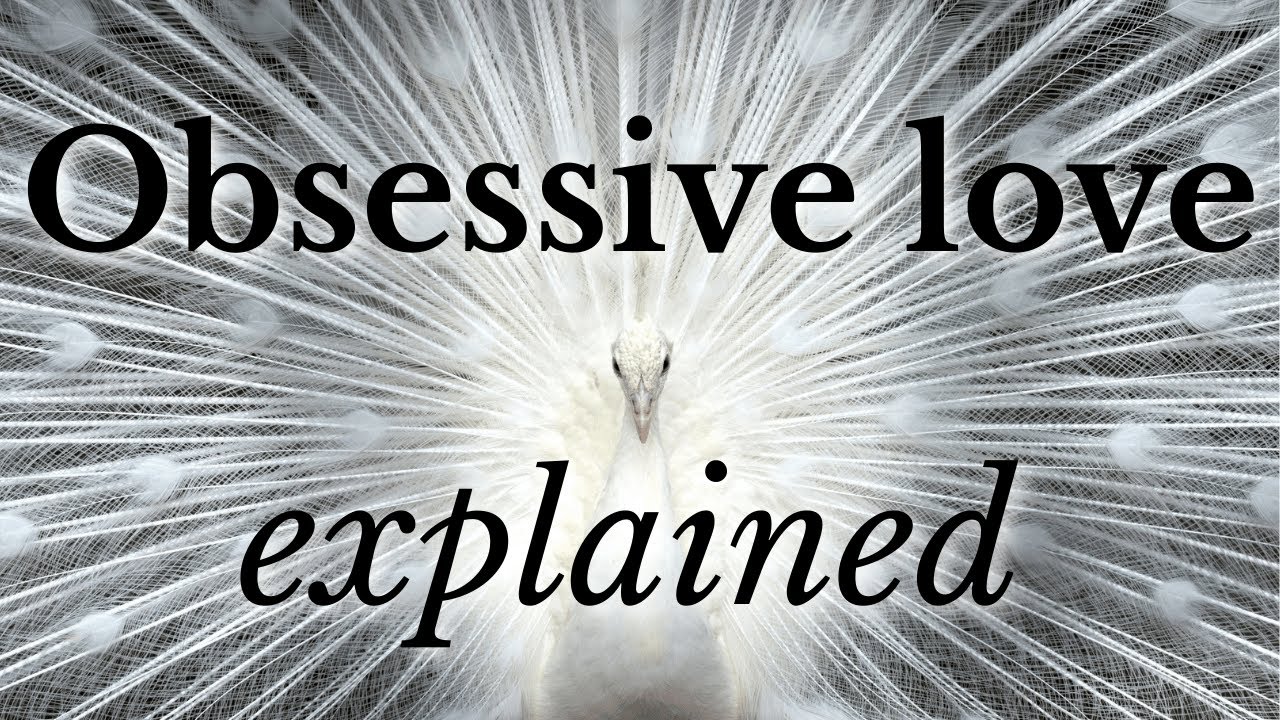 Obsessive love explained: why limerence exists
