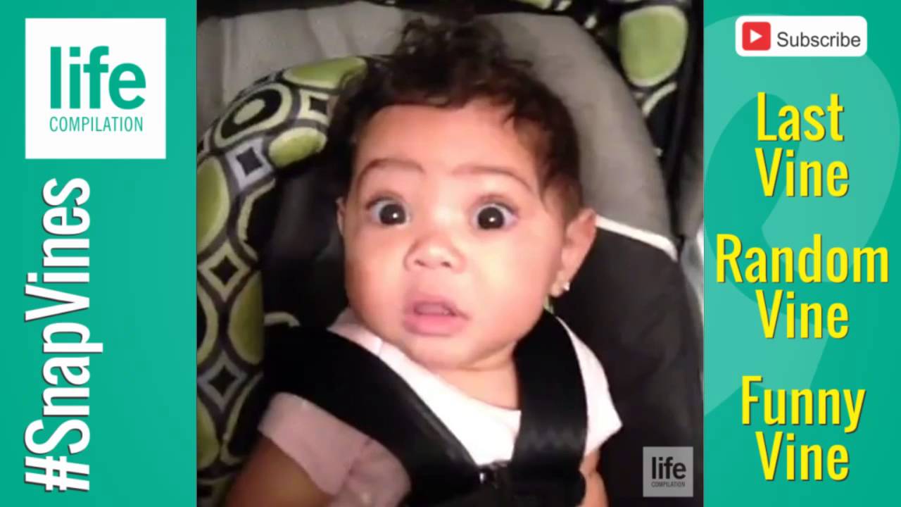 #SnapVines - Best Vines in a Minute - #11