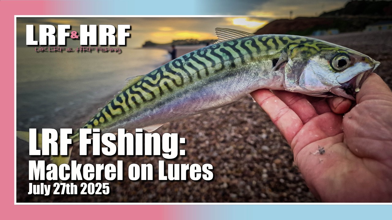 LRF Fishing: Devon Mackerel Fishing on Lures - Budleigh Salterton