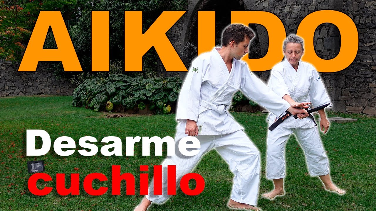 Cómo desarmar un cuchillo  - Tanto dori básico -  Kote Gaeshi