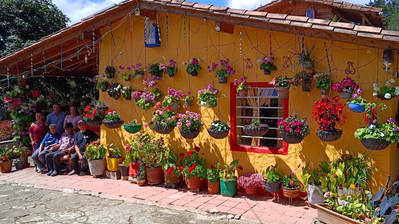El jardín de una hermosa familia/Finca la primavera.