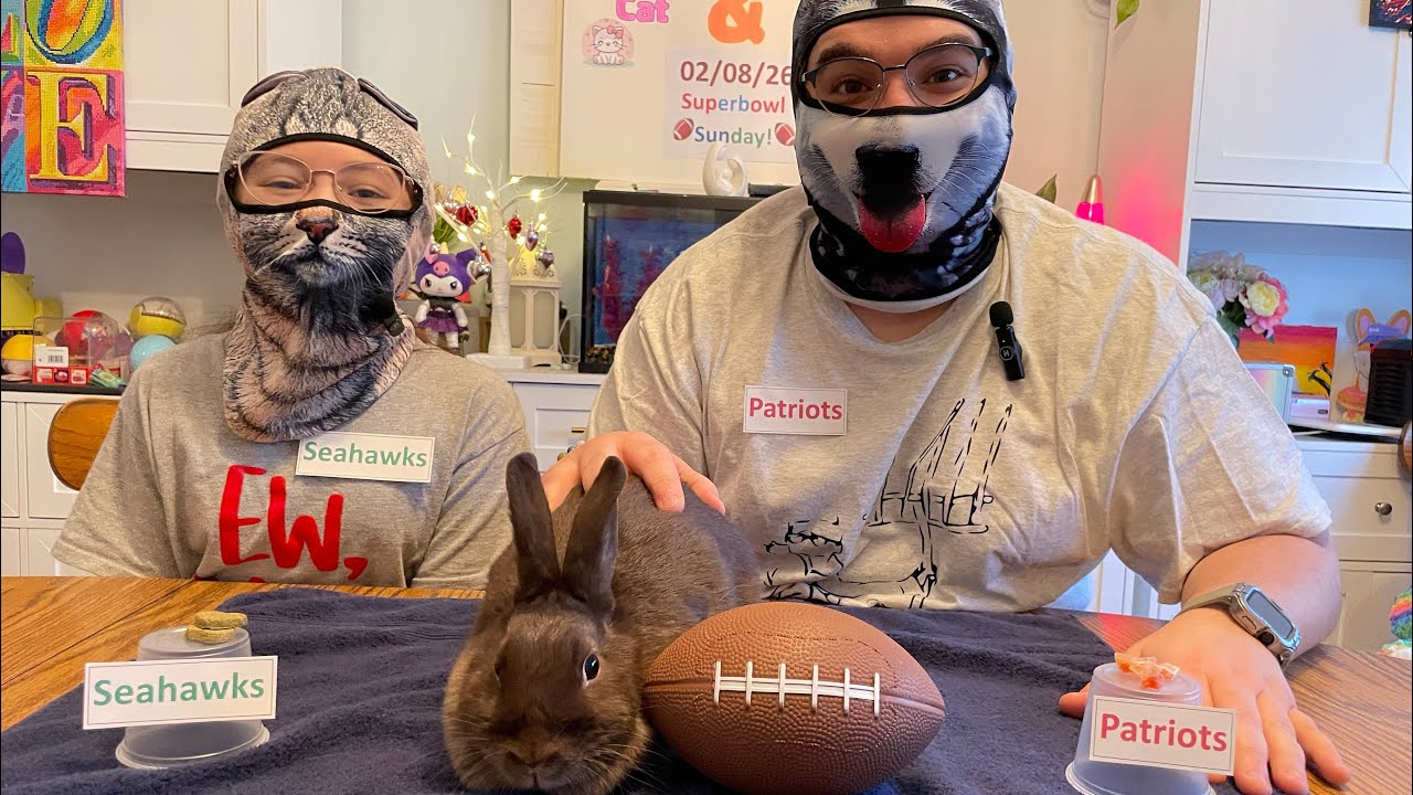 Rumi and Dad get help from CoCo to pick a Superbowl Winner!!!!! #superbowl #superbowlhalftimeshow 