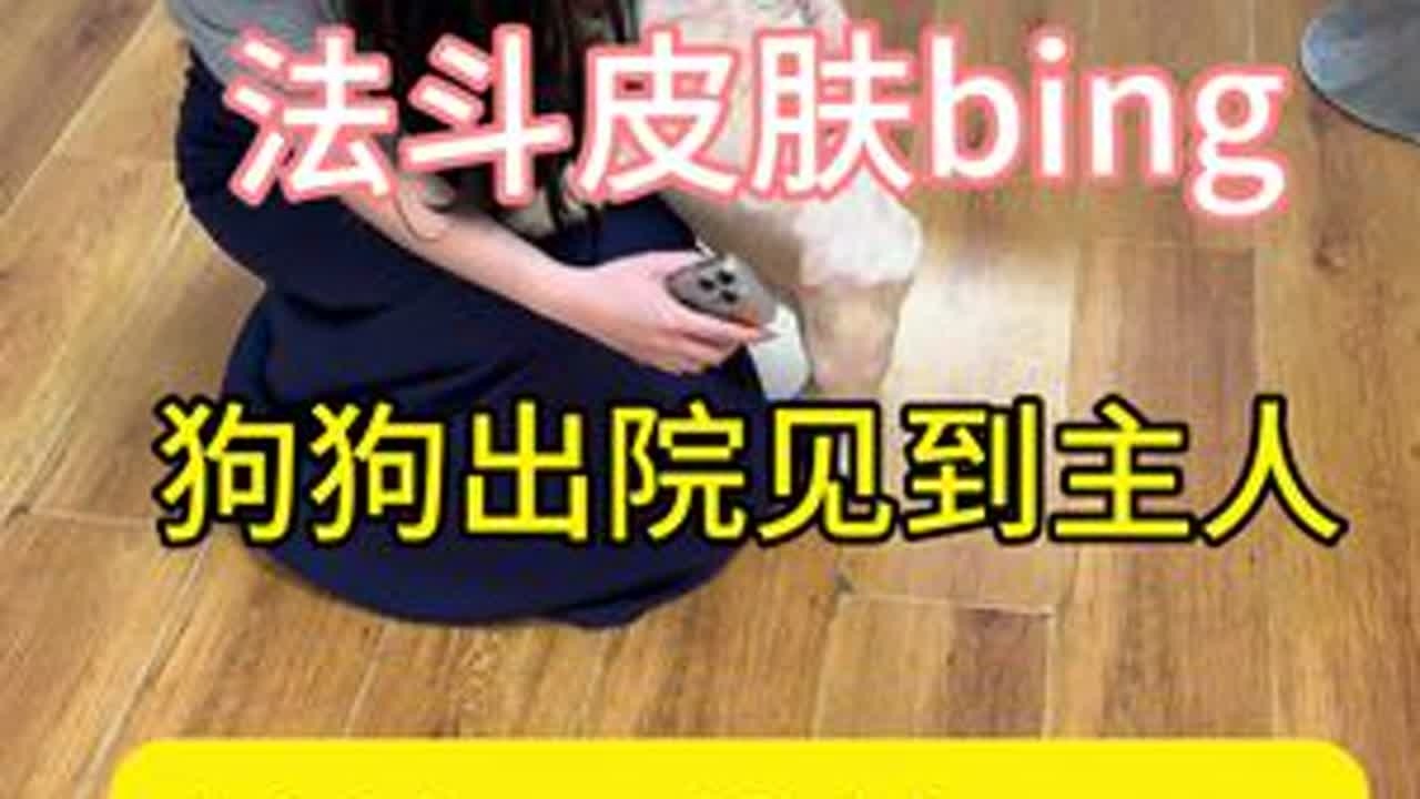 来自辽宁本溪混合感染皮肤病法斗出院接回家啦#法斗皮肤病 #狗狗皮肤病 #法国斗牛犬 #法斗真菌感染 #法斗细菌感染