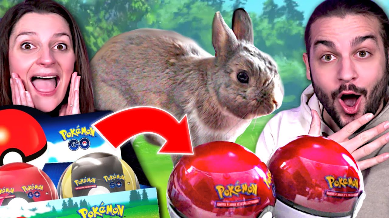 GUILLAUME ET KIM VS SEOUL ! QUI AURA LA MEILLEURE POKEBALL ?