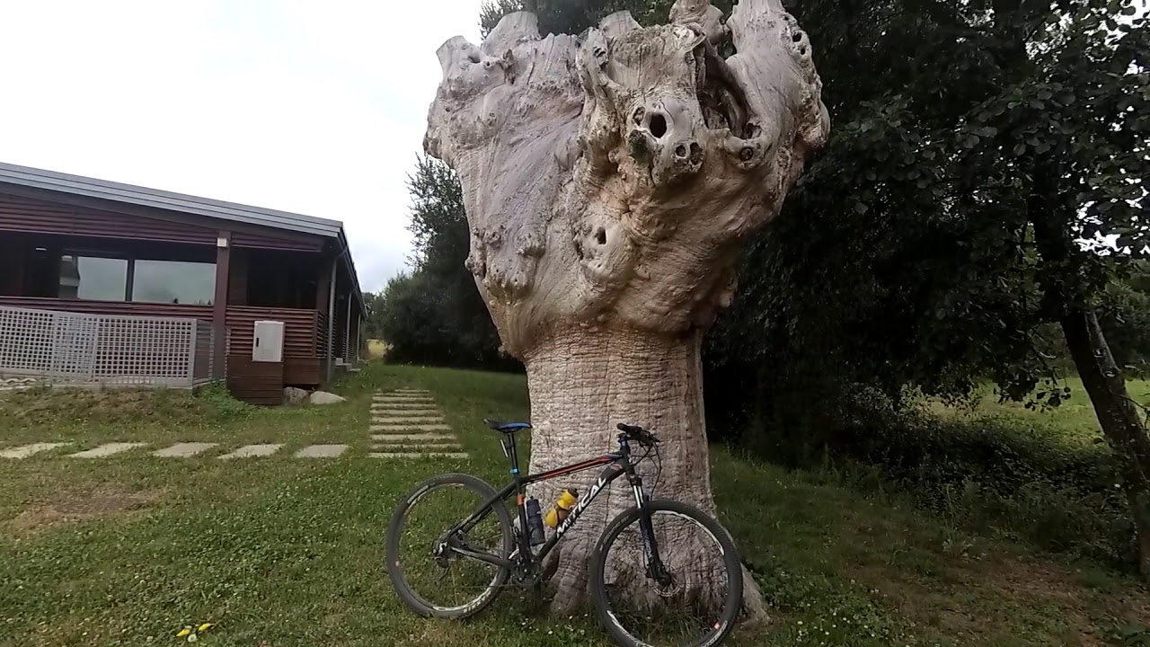 Camino Primitivo en bicicleta Etapa 3 Fonsagrada San Roman