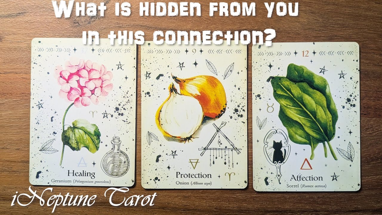 What are they hiding from you? 🕵️✨ Timeless Pick a Card Tarot Reading 🃏🔮