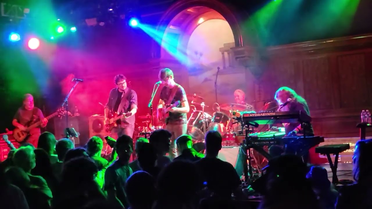 Cubensis 2-21-26 Wharf Rat
