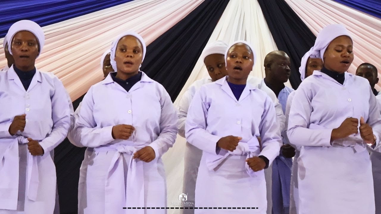 New Generation of Zion - NGZ || Lolusuku || 2024