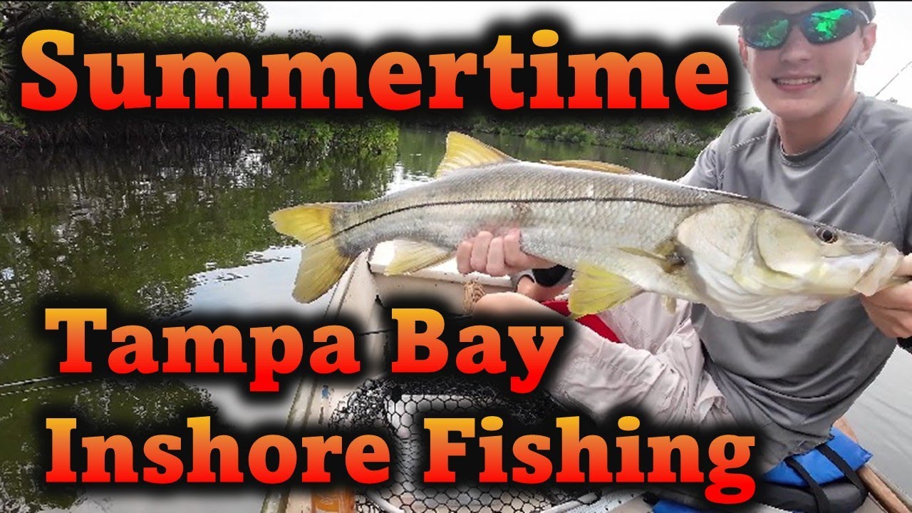 Fishing Tampa Bay Mangroves in July Heat | Snook PB & Slot Redfish!